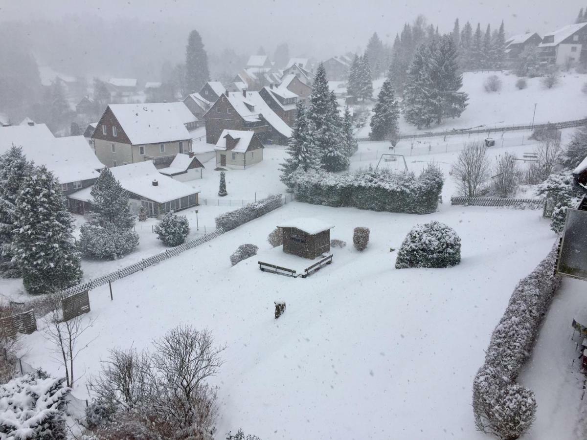 Appartement Haus Reimann à Altenau  Extérieur photo