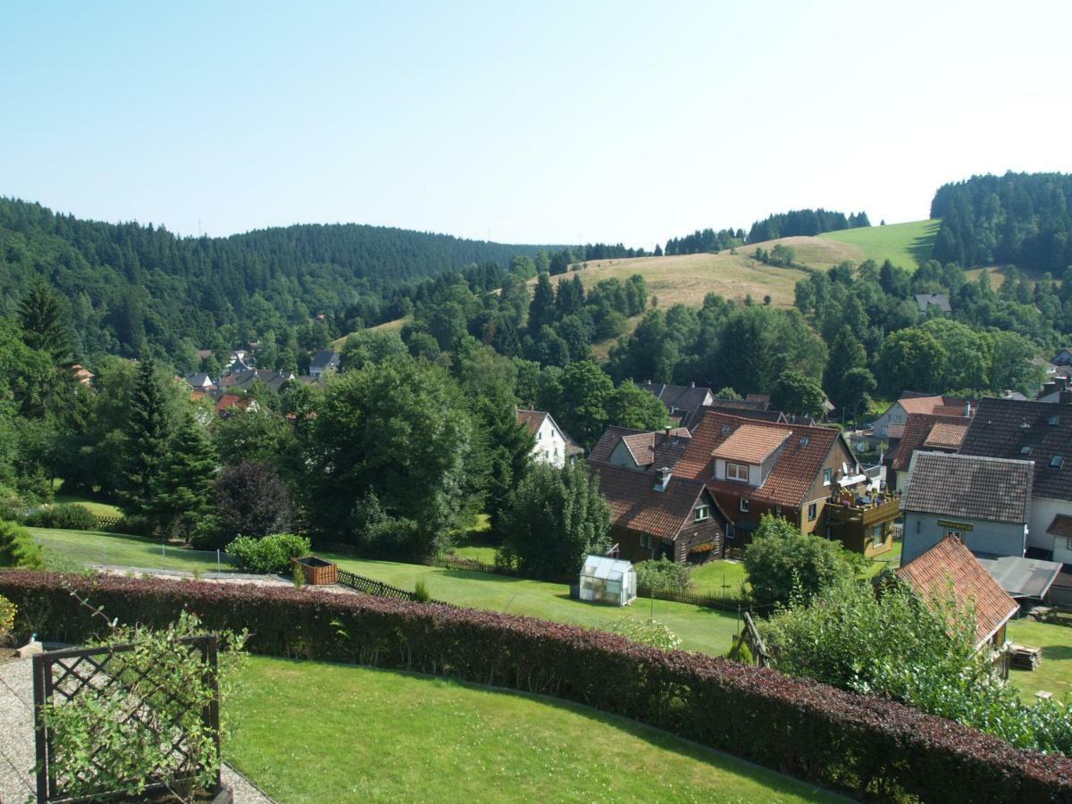 Appartement Haus Reimann à Altenau  Extérieur photo