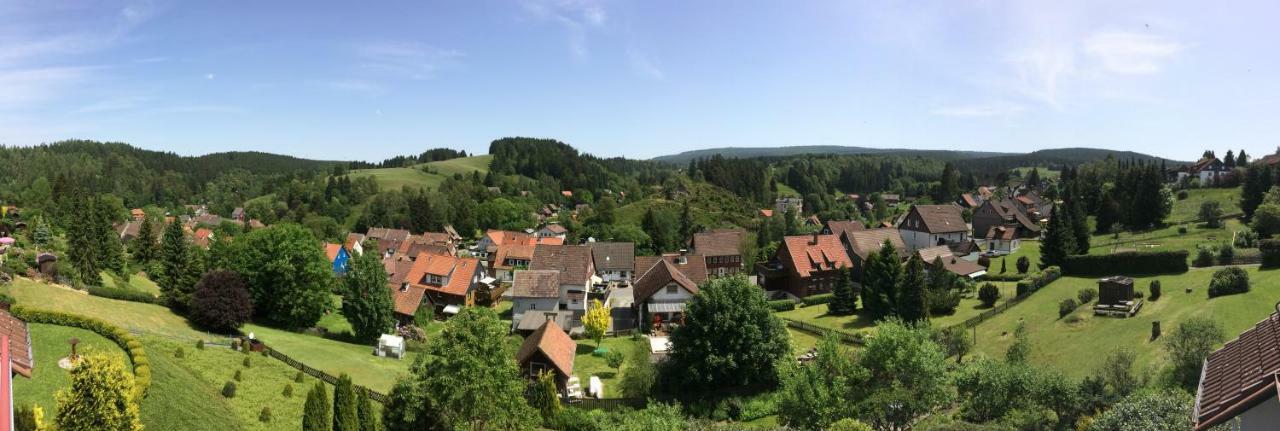 Appartement Haus Reimann à Altenau  Extérieur photo